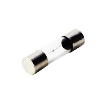 GDL Fuse - 2 A - 250 V - 5-Pack