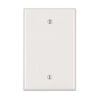 Plaque murale pleine pour prise simple - Blanc