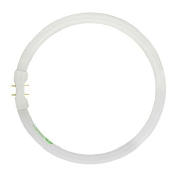 Roxi-22W T5 Néon Circulaire, 8″ ,3500K, 4 Broches, B