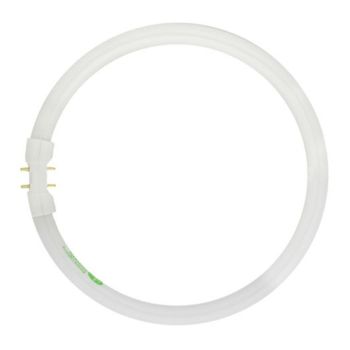 12″ T5 Circular Fluorescent Tube - 40 W - G10Q Base - 4100 K