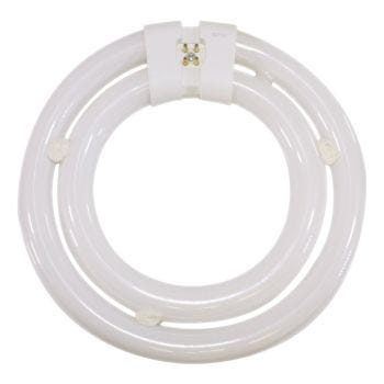 Tcp - 40W T6 Néon Circulaire, 7.5″, 4100K, 2800 Lume