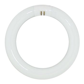 Tube fluorescent circulaire T9 de 12″ - 32 W - Culot G10Q - 4200 K