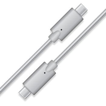 Braided USB-C Male to Male Cable - Silver - 3.3 ft