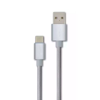Braided USB Male to USB-C Male Cable - Silver - 3.3 ft
